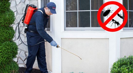 Mustafakemalpaşa Dezenfeksiyon böcek ilaçlama ve haşere kontrolü — ilaclama-tr.com